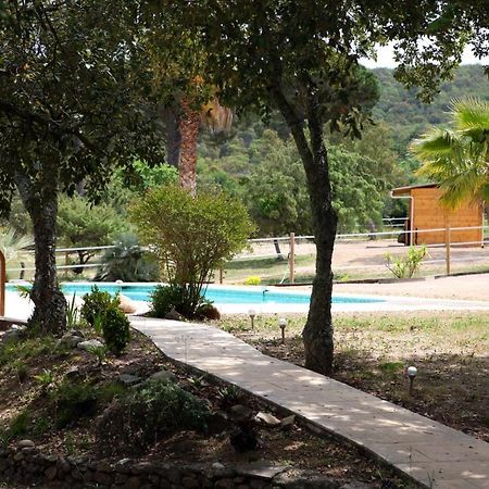 Villa Villekulla Dependance Avec Spa Privatif Le Plan-de-la-Tour Exterior foto