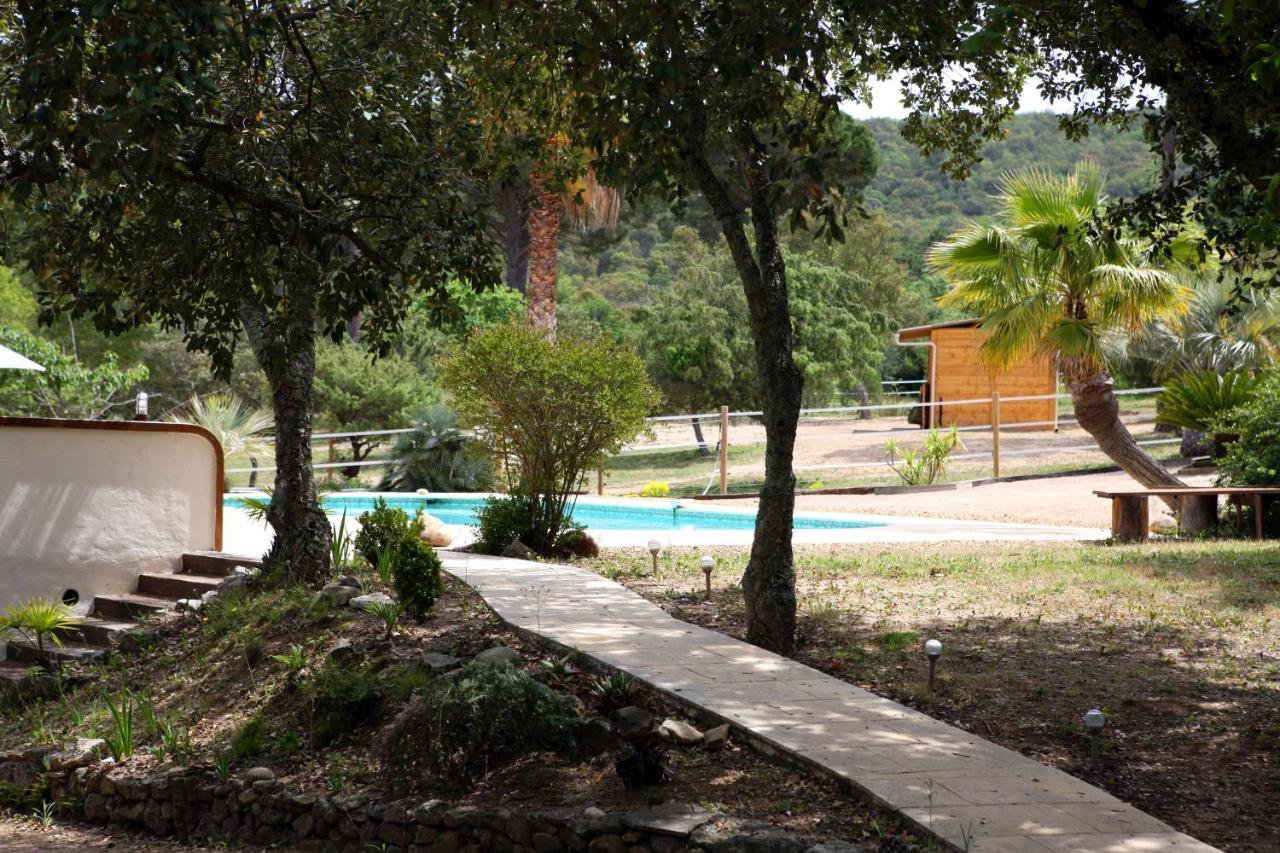 Villa Villekulla Dependance Avec Spa Privatif Le Plan-de-la-Tour Exterior foto
